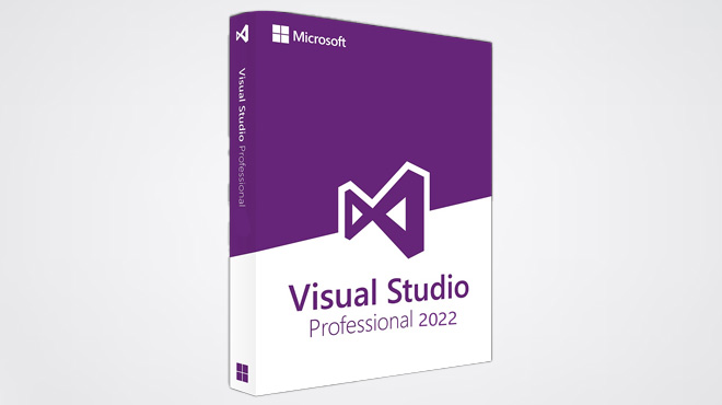 Microsoft Visual Studio Professional 2022 for Windows