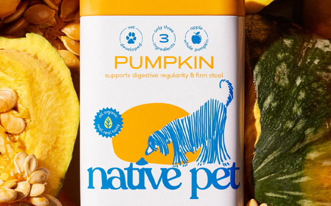 Native Pet Pumpkin Powder Can 