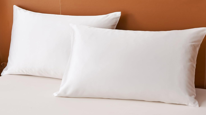 Netcken Satin Pillow case