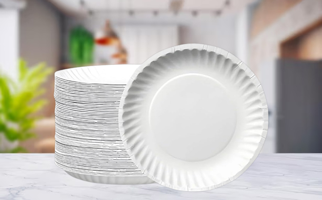 Nicole Home Collection White Uncoated Small Paper Plates