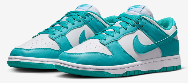 Nike Dunk Low Next Nature Womens Shoes