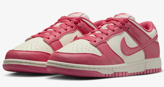 Nike Dunk Low Next Nature Womens Shoes on a Grey Background