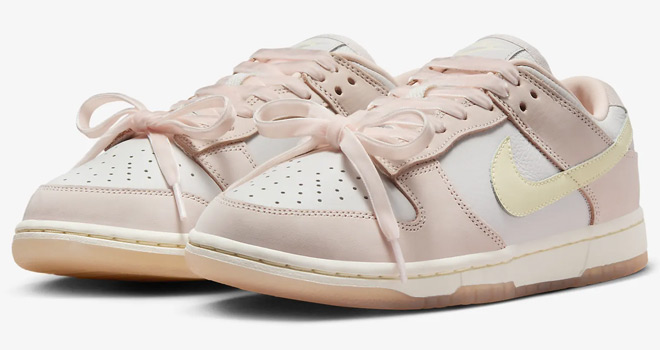 Nike Dunk Low Premium Womens Shoes