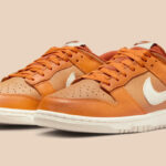 Nike Dunk Low Retro Mens Shoes