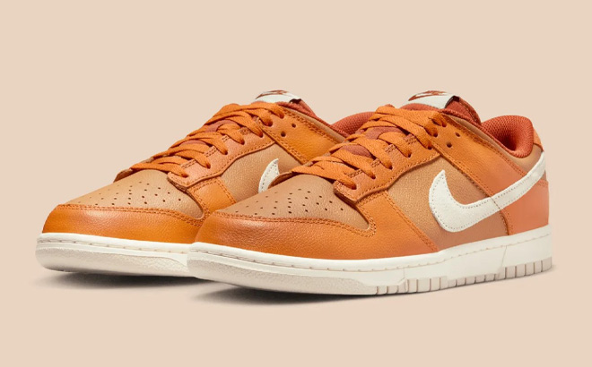 Nike Dunk Low Retro Mens Shoes