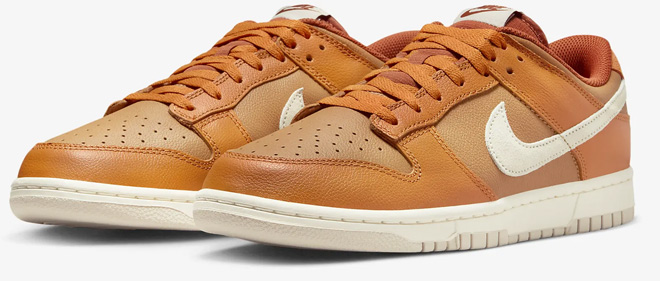 Nike Dunk Low Retro SE Mens Shoes