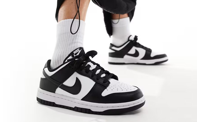 Nike Panda Dunk Low Shoes