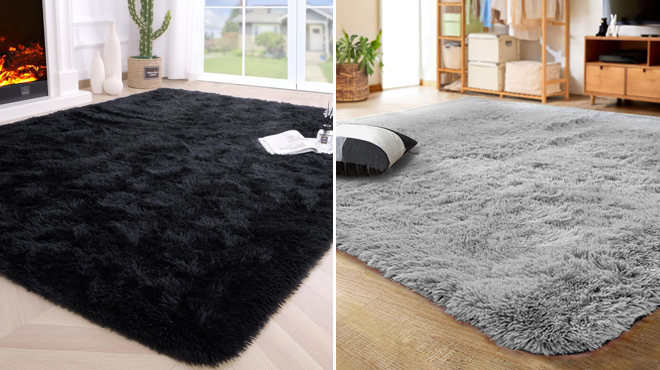 Noahas 4x5 Fluffy Area Rug and Lochas 4x5 Fluffy Area Rug