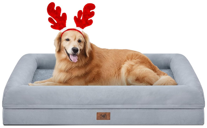 Orthopedic Large Dog Bed