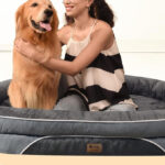 Orthopedic Waterproof Large Dog Bed