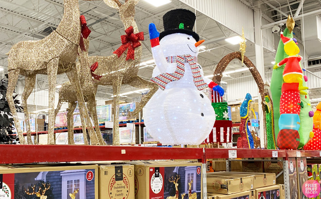 Outdoor Christmas Decorations in Sams Club Store