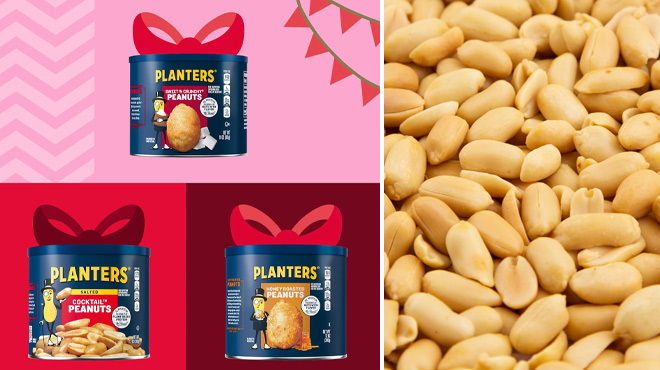 Planters Holiday Nuts 3 Canister Pack