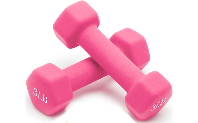 Portzon Weights Dumbbells in Pink