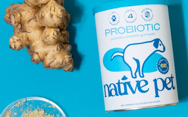 Probiotics for Dogs Dog Probiotics for Digestive Health