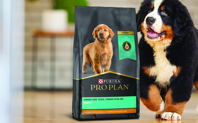 Purina Pro Plan Dog Food