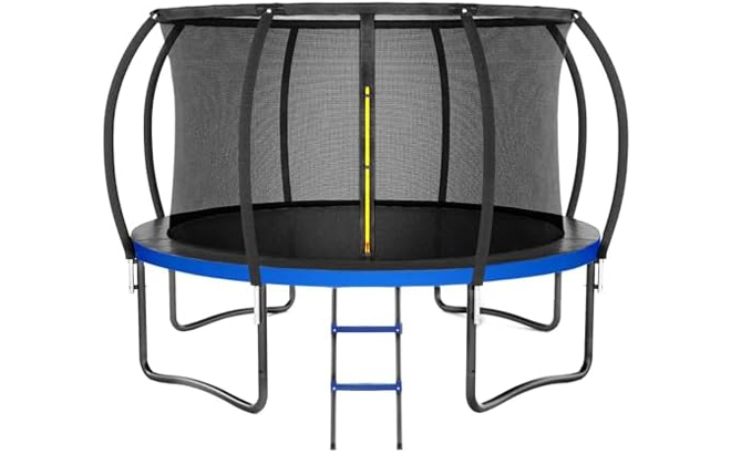 Recreational Trampoline with Enclosure Net Ladder