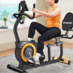 Recumbent Exercise Bike