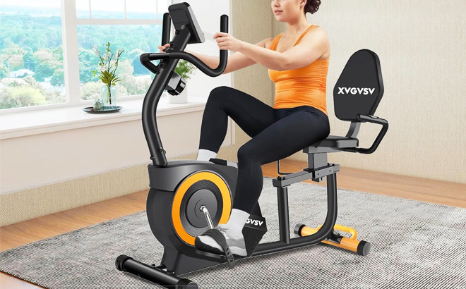 Recumbent Exercise Bike