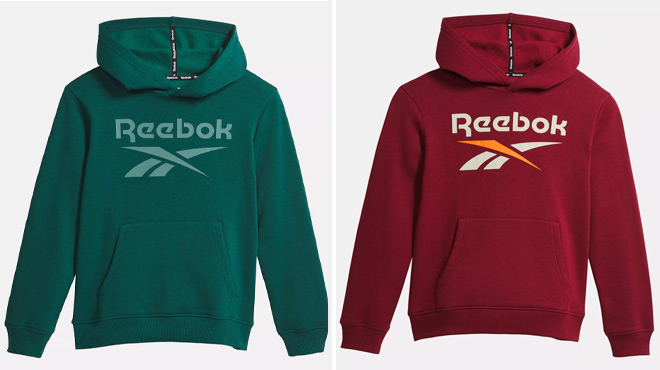 Reebok Big Kids Hoodie in Two Colors