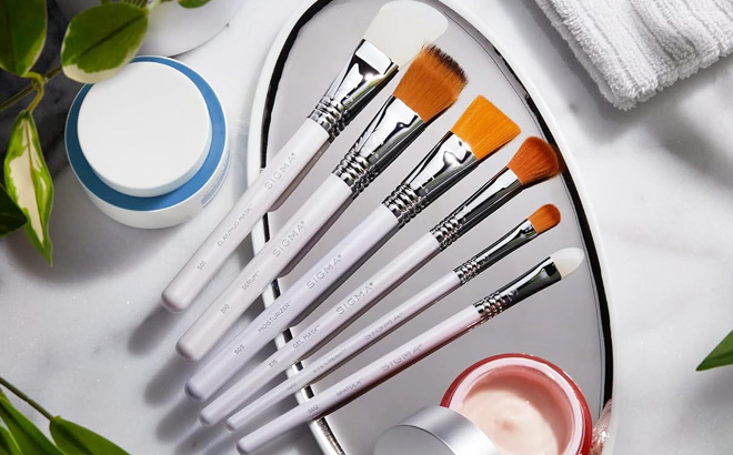 Sigma Beauty Skin Care Brush Set