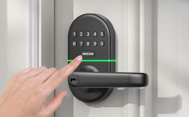 Smart Keypad Door Lock with Handle