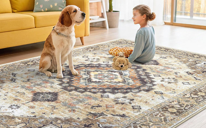 Smiry Washable Area Rug