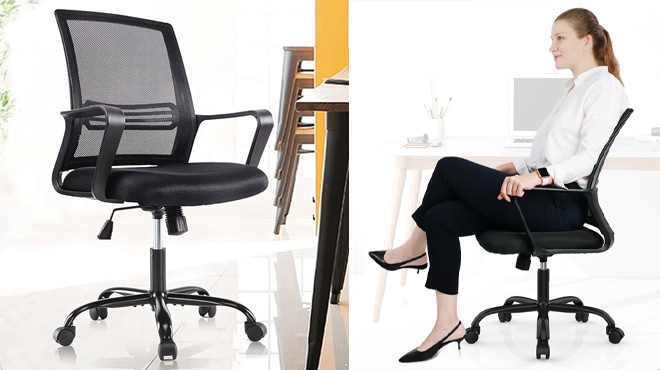 Smug Ergonomic Swivel Desk Chair