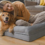 Song Puppy Orthopedic Large Dog Bed