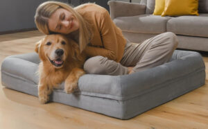 Song Puppy Orthopedic Large Dog Bed