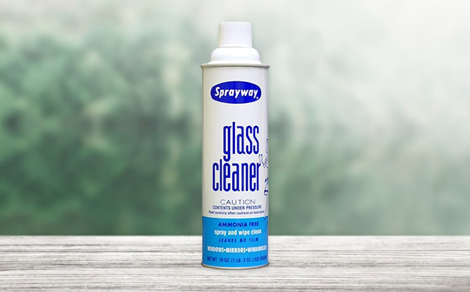 Sprayway Glass Cleaner Aerosol Spray on the Table