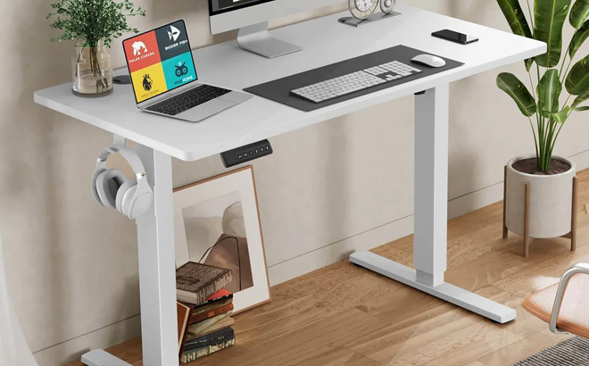 Sweetcrispy Adjustable Height Electric Stand Up Desk in White Color