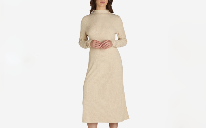 Time and Tru Ribbed Hacci Knit Midi Dress