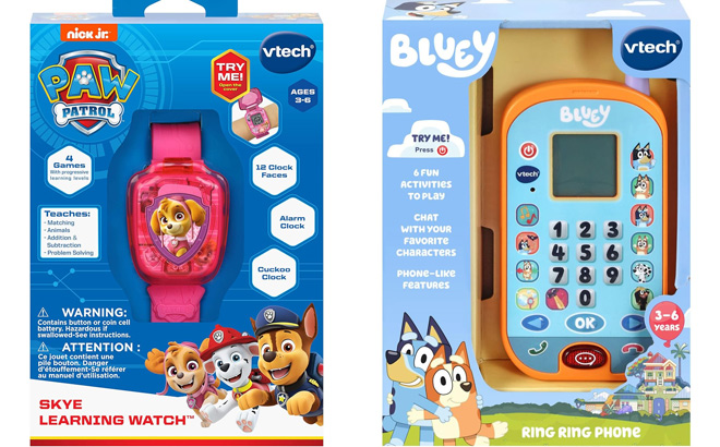 VTech PAW Patrol Skye Learning Watch