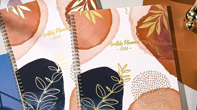 Vindora 2025 Monthly Planner