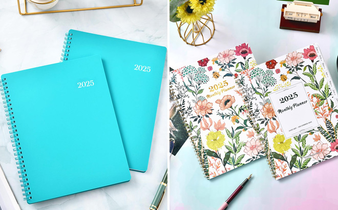 Weekly Monthly 2025 Planner with Printed Tabs