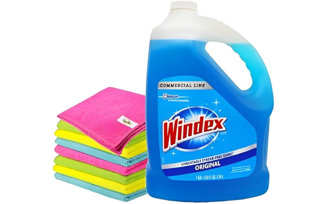 Windex Glass Cleaner Refill