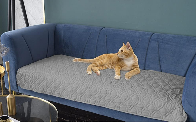 A Cat Laying on the Ameritex Reversible Waterproof Pet Bed Cover