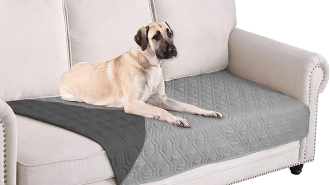 A Dog Laying on the Ameritex Reversible Waterproof Pet Bed Cover