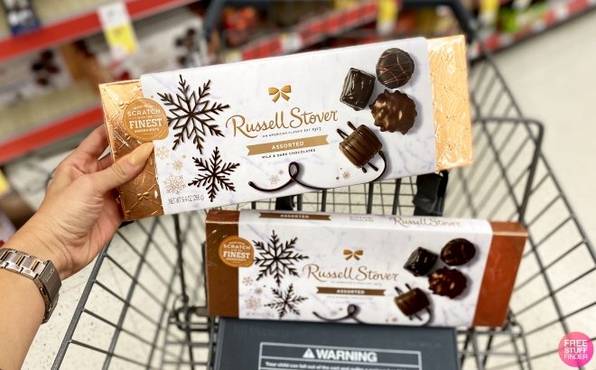 A Person Holding a Box of Russell Stover Assorted Christmas Milk Dark Chocolates