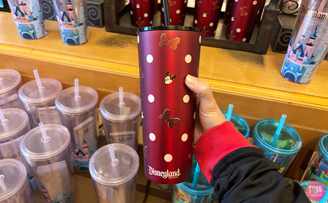 A Person Holding the Disney Minnie Mouse Disneyland Stainless Steel Starbucks Tumbler