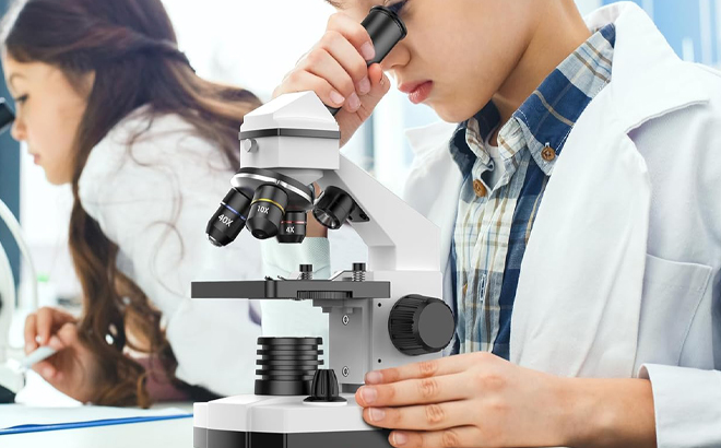 A Person using a PalliPartners Compound Microscope