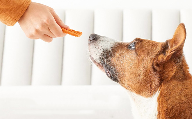 Amazon Brand Wag Dog Treats Chicken and Waffle Bites