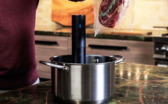 Anova Culinary Sous Vide Precision Cooker