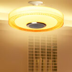 Bluetooth Smart Waterproof Ceiling Lights