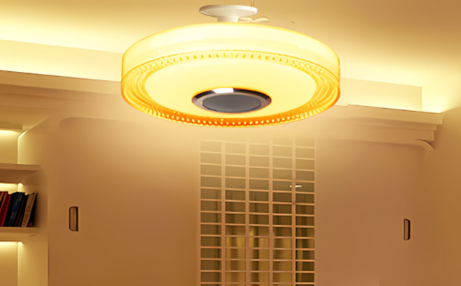 Bluetooth Smart Waterproof Ceiling Lights