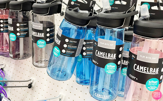 CamelBak 25 Ounce Water Bottle at Target