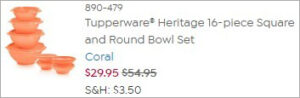 Checkout page of Tupperware 16 Piece Bowl Set