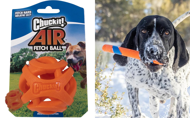 Chuckit Air Fetch Ball Dog Toy and Chuckit Ultra Fetch Stick Outdoor Dog Toy