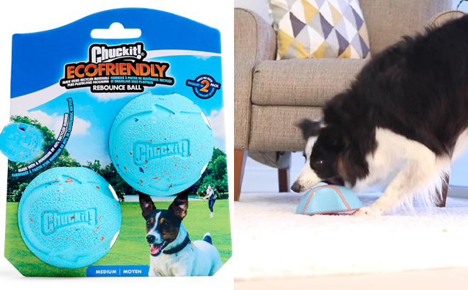 Chuckit Rebounce Ball Dog Toy and Chuckit Indoor Super Slider Dog Self Fetch Squeaker Toy