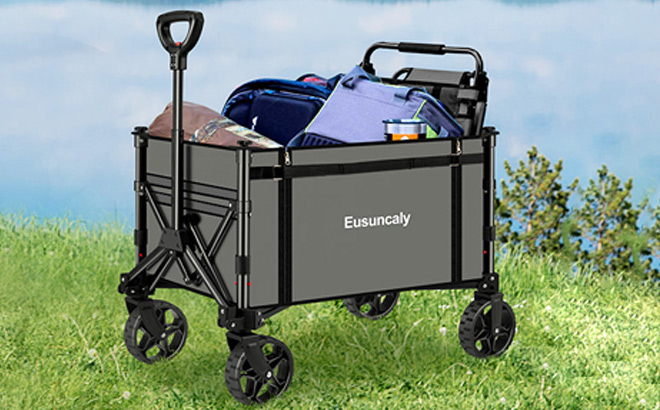 Collapsible Foldable Wagon Cart